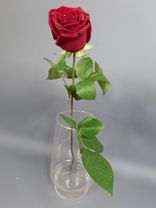 Фото флориста 2: Роза красная, Кения, 40см