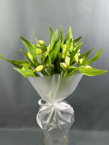 Фото флориста 4: Ирисы