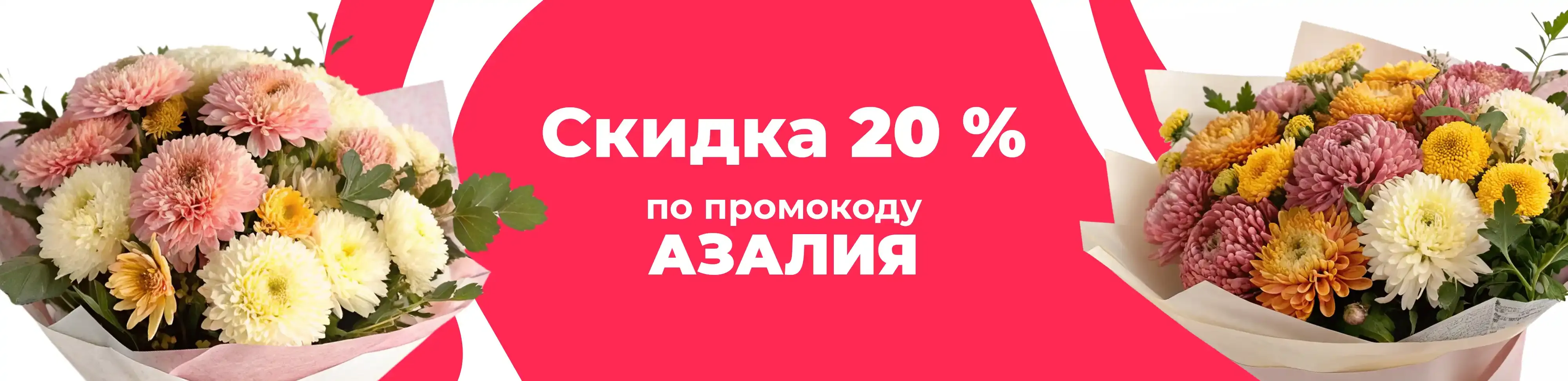 Баннер для рубрики: Хризантемы одноголовые