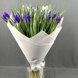 Фото флориста 1: Букет из 45 синих ирисов в белой бумаге