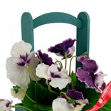 Маленькое фото 5: Корзина (дерево), 14х14х30см, изумрудный