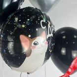 Маленькое фото 4: Композиция из 4 шаров с гелием «С ДР (котик)»