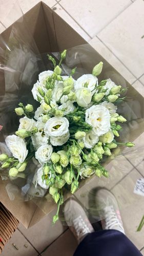 Показать все изображения