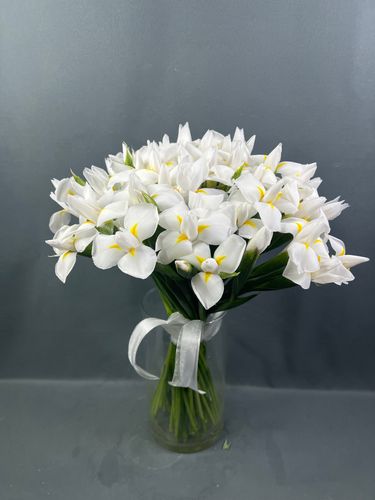 Фото флориста 1: Ирисы