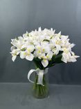 Фото флориста 1: Букет из 51 белого ириса с лентой