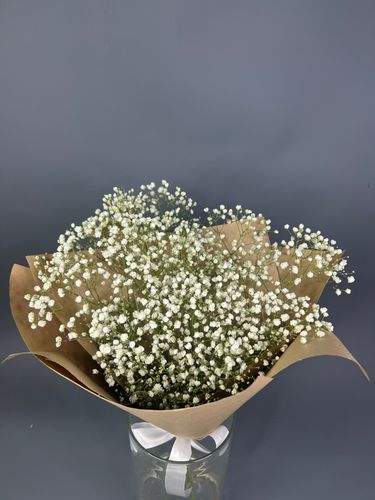 Фото флориста 4: Гипсофилы