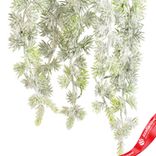 Маленькое фото 5: Ветка заснеженная, H69 см, зеленый