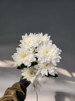 Фото флориста 6: 1 белая кустовая хризантема