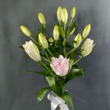 Фото флориста 1: Букет из трех белых лилий «Белая мечта»