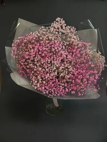 Фото флориста 1: Гипсофилы