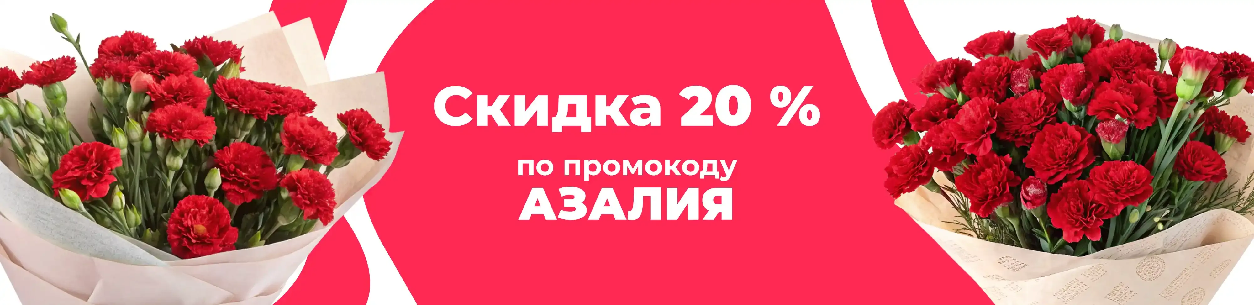 Баннер для рубрики: Гвоздика кустовая