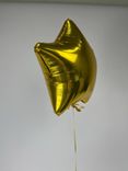 Фото флориста 1: Шар с гелием «Золотая Звезда»