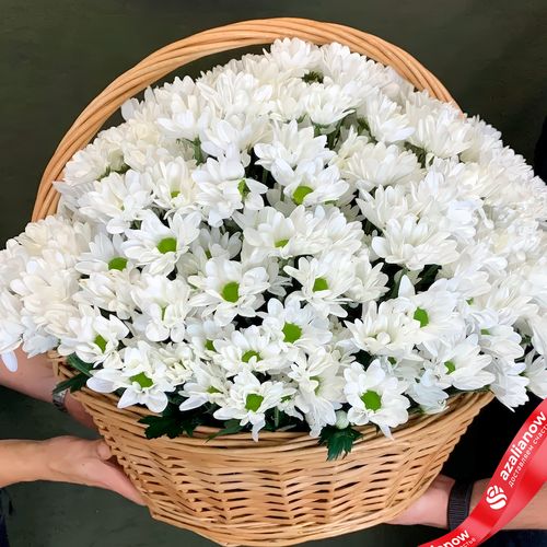 Букет из 39 хризантем в корзине
