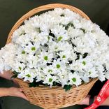 Маленькое фото 1: Букет из 39 хризантем в корзине