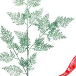 Маленькое фото 3: Ветка с глиттером, H84 см, зеленый