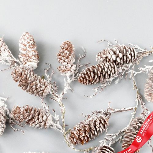 Фото 5: Гирлянда из шишек заснеженная, 105 см, коричневый