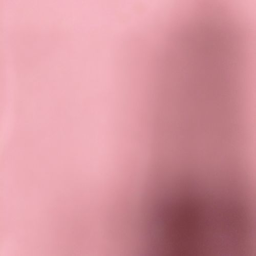 Фото флориста 2: Белые розы