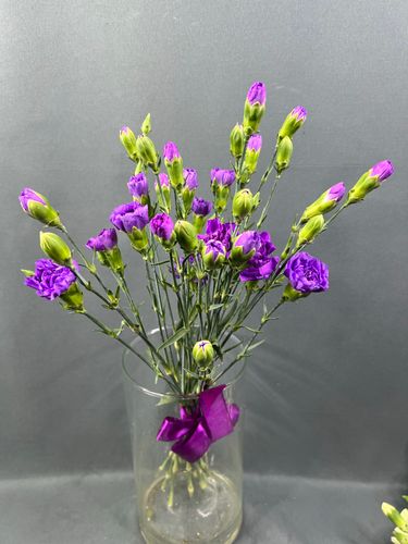 Фото флориста 1: Гвоздики