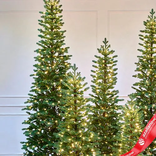 Фото 2: Ель искусственная с лампочками «Тикко» (PE), 2,2м, зеленый