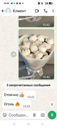 Показать все изображения
