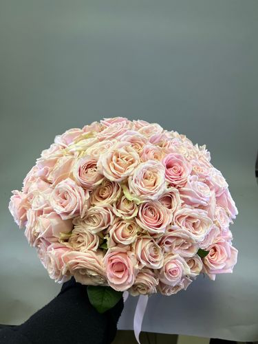 Показать все изображения