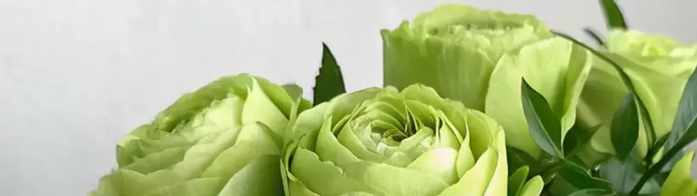 Зеленые цветы