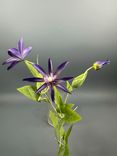 Фото флориста 1: Астранция Искусственный на вставке 20 см Сиреневый