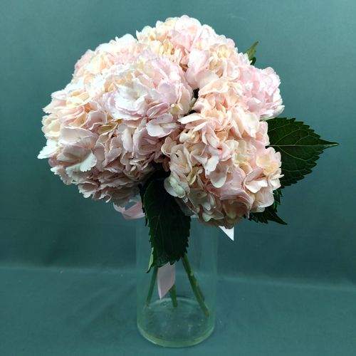 Фото флориста 1: Гортензии