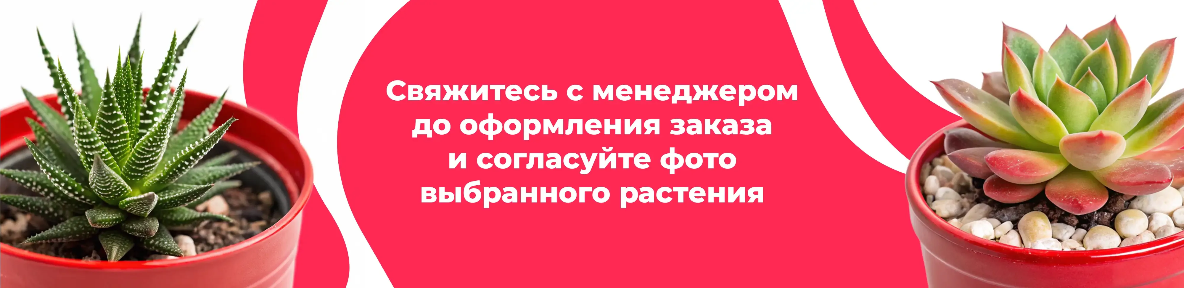 Баннер для рубрики: Растения Академический