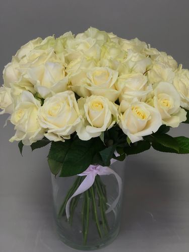 Показать все изображения