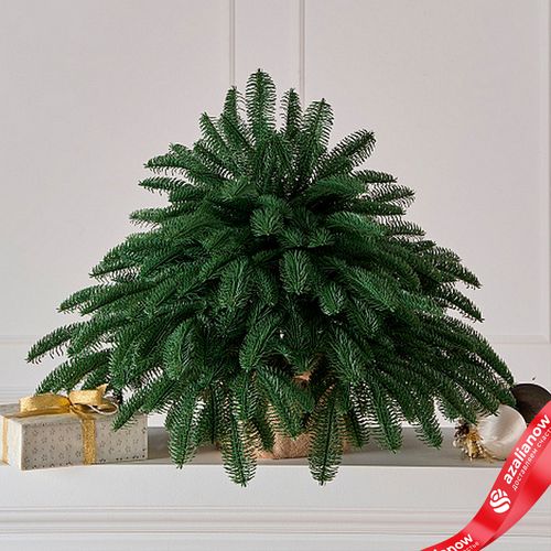 Ель настольная «Датская» (РЕ), 60см, зеленый