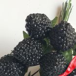 Маленькое фото 4: Набор ежевики на вставках 12шт., D1,8x2,5xL11см