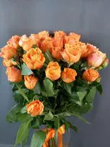 Фото флориста 1: Роза кустовая микс, Голландия