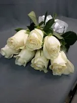 Фото флориста 1: Букет из 7 белых роз с лентой, 50 см
