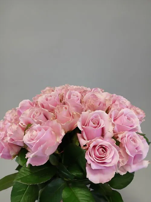 Показать все изображения