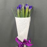 Фото флориста 2: Букет из 15 синих ирисов в белой бумаге «Из чего же, из чего же»