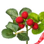 Маленькое фото 2: Ветка малины, 28см, красный