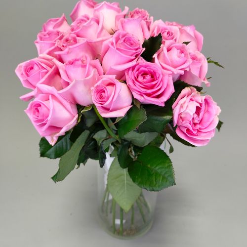 Показать все изображения