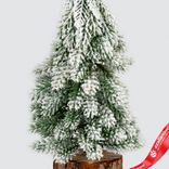 Маленькое фото 4: Ель искусственная заснеженная, Н19х8х8см, зеленый/белый