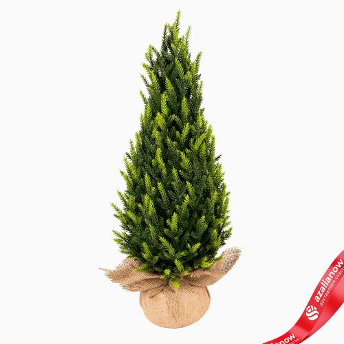 Ель искусственная в кашпо, Н60х26х26см, зеленый