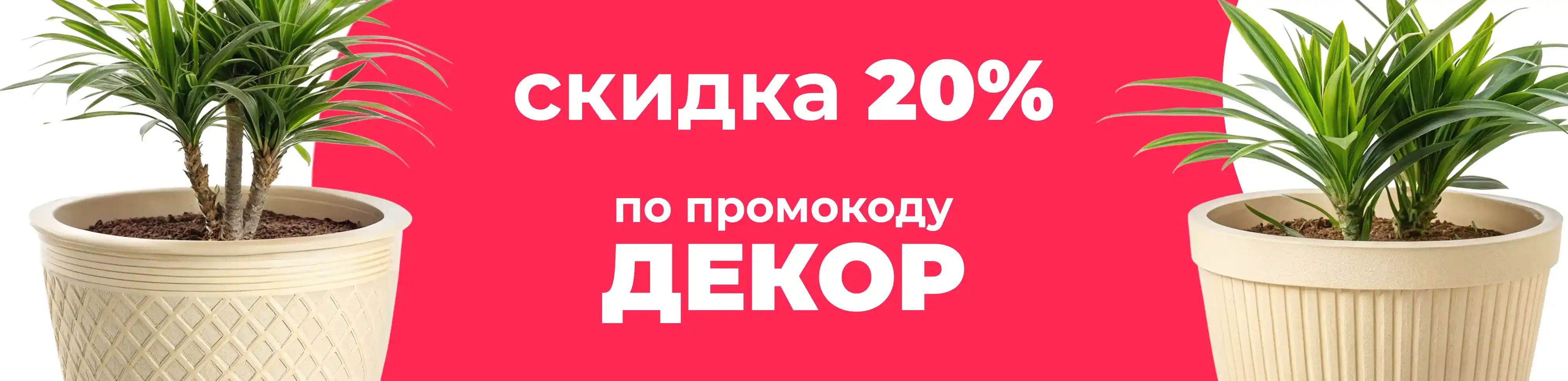 Баннер для рубрики: Горшки для драцены