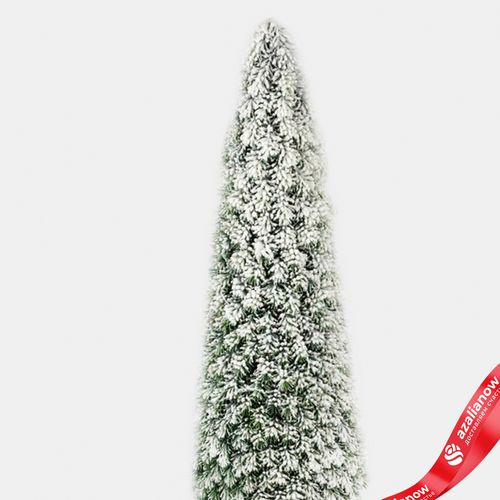 Фото 4: Ель искусственная заснеженная в кашпо, Н97х19х19см, зеленый/белый