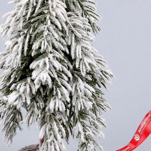 Фото 3: Ель искусственная заснеженная Н25х12х12см, зеленый/белый