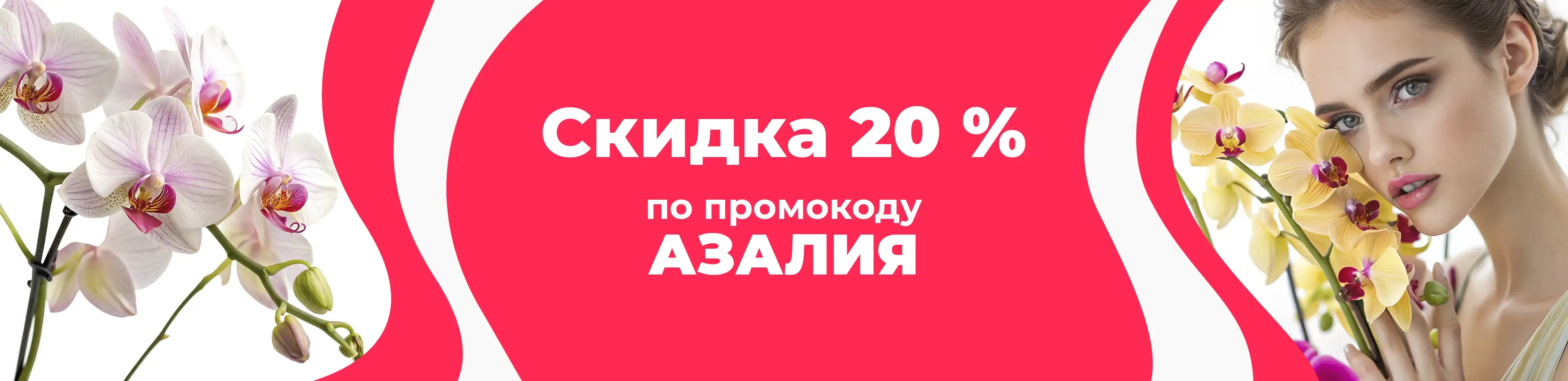 Баннер для рубрики: Орхидеи фаленопсис купить