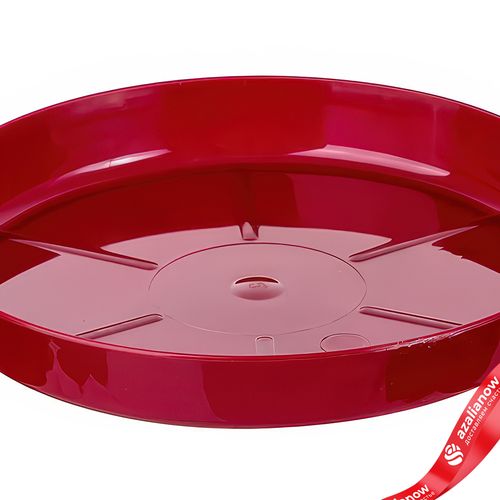 Фото 5: Поддон для цветочного горшка (пластик), D11,5см, красный