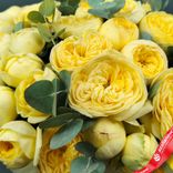 Маленькое фото 5: Букет из 15 желтых кустовых пионовидных роз, «Пиони Баблс» с эвкалиптом в коробке