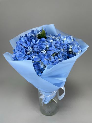 Фото флориста 1: Гидрангии