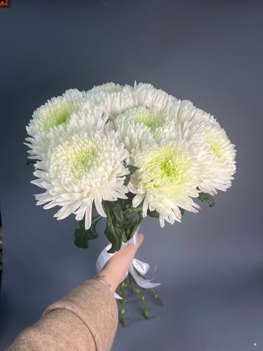 Фото флориста 3: Розовые хризантемы