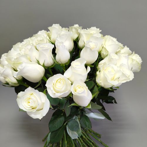 Фото флориста 1: Цветы июля