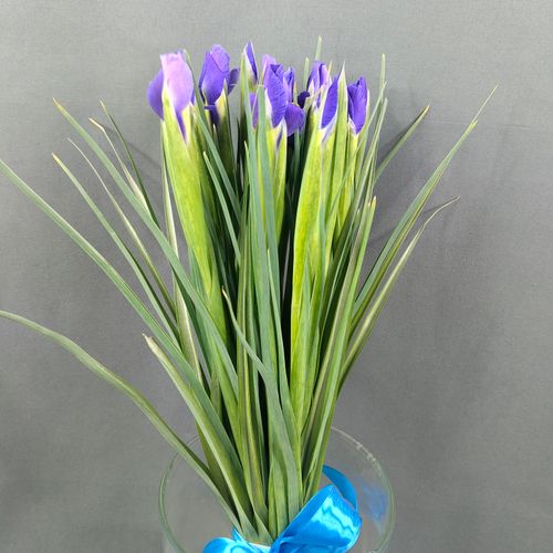 Показать все изображения